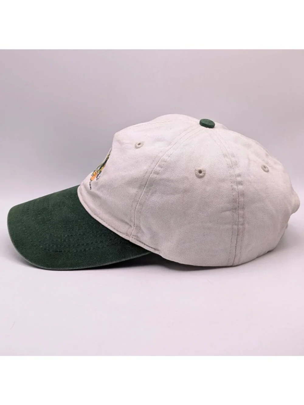 Vintage Oregon Ducks Hat Cap Disney Donald Duck Strap Back Green Colorful Retro